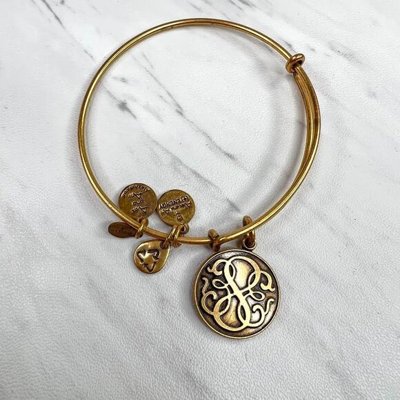 Alex and Ani Energy Path Of Life Charm Bracelet 2012 - Picture 1 of 2